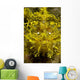 Head-on Portrait Yellow Scorpionfish Wall Decal