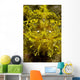 Head-on Portrait Yellow Scorpionfish Wall Decal