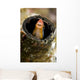 Orange Blenny Peeking out Wall Decal