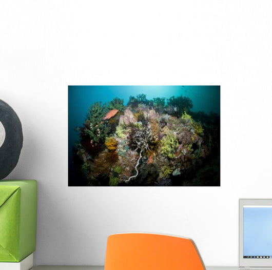 Colorful Reef Scene Komodo Wall Decal Design 3