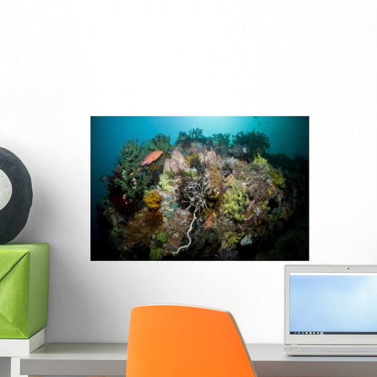 Colorful Reef Scene Komodo Wall Decal Design 3