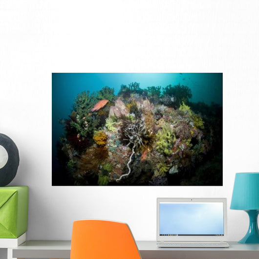 Colorful Reef Scene Komodo Wall Decal Design 3