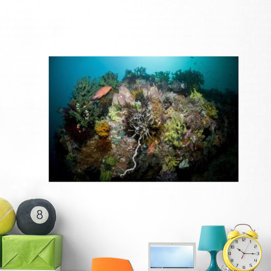 Colorful Reef Scene Komodo Wall Decal Design 3