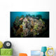 Colorful Reef Scene Komodo Wall Decal Design 3