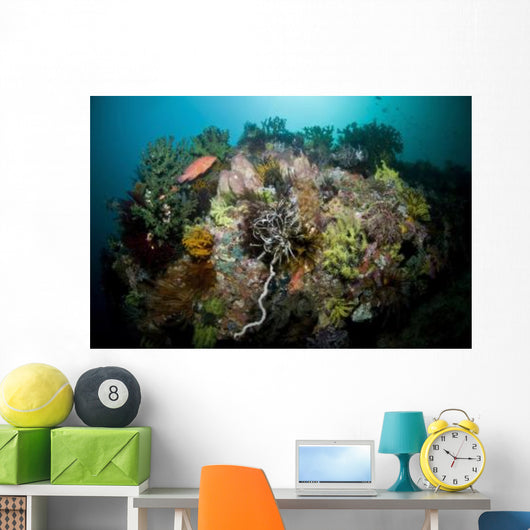 Colorful Reef Scene Komodo Wall Decal Design 3