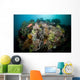 Colorful Reef Scene Komodo Wall Decal Design 3