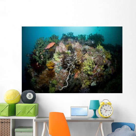 Colorful Reef Scene Komodo Wall Decal Design 3