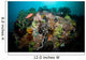 Colorful Reef Scene Komodo Wall Decal Design 3