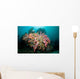 Colorful Reef Scene Komodo Wall Decal Design 2