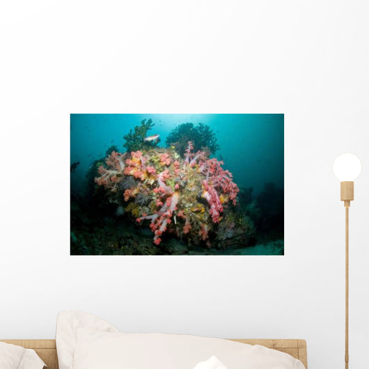 Colorful Reef Scene Komodo Wall Decal Design 2