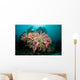 Colorful Reef Scene Komodo Wall Decal Design 2