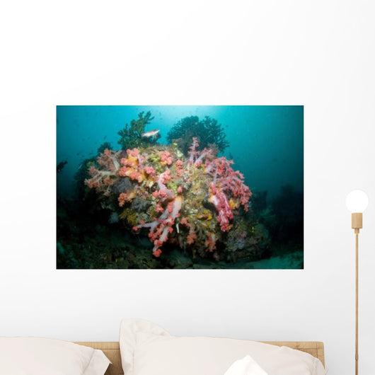 Colorful Reef Scene Komodo Wall Decal Design 2