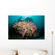 Colorful Reef Scene Komodo Wall Decal Design 2