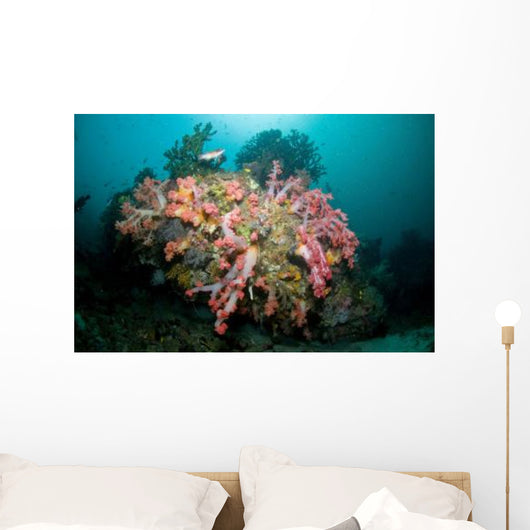 Colorful Reef Scene Komodo Wall Decal Design 2