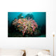 Colorful Reef Scene Komodo Wall Decal Design 2