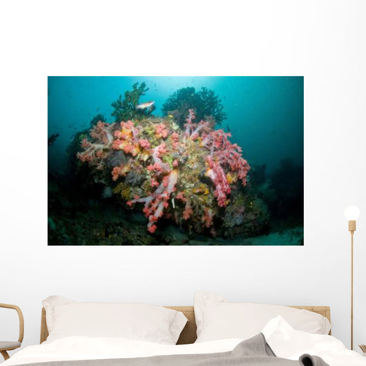 Colorful Reef Scene Komodo Wall Decal Design 2