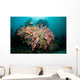 Colorful Reef Scene Komodo Wall Decal Design 2
