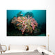Colorful Reef Scene Komodo Wall Decal Design 2