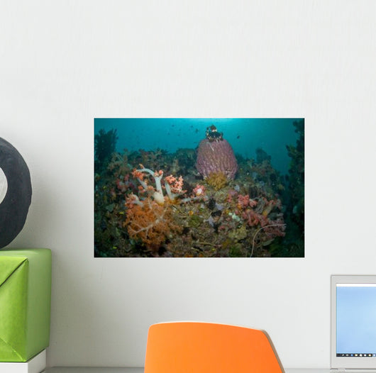 Colorful Reef Scene Komodo Wall Decal