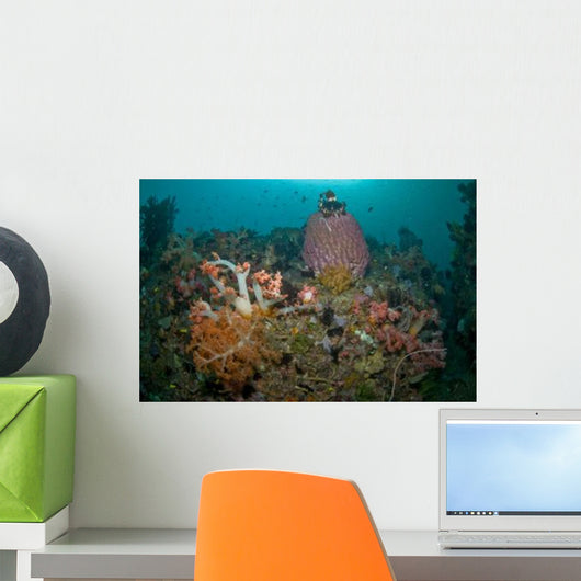 Colorful Reef Scene Komodo Wall Decal