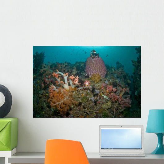 Colorful Reef Scene Komodo Wall Decal