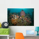 Colorful Reef Scene Komodo Wall Decal