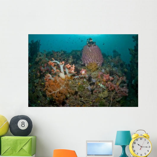 Colorful Reef Scene Komodo Wall Decal