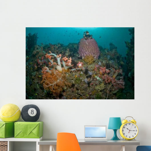 Colorful Reef Scene Komodo Wall Decal