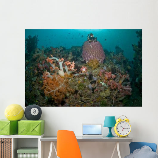 Colorful Reef Scene Komodo Wall Decal