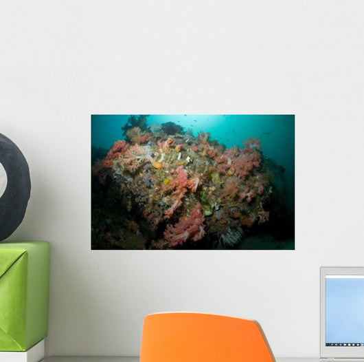 Colorful Reef Scene Komodo Wall Decal Design 1