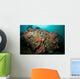 Colorful Reef Scene Komodo Wall Decal Design 1