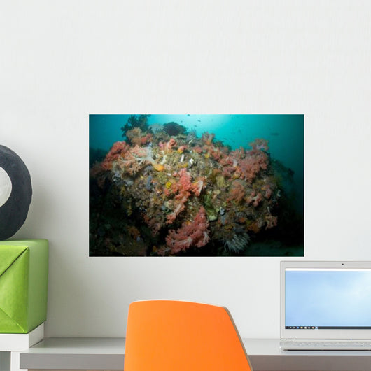 Colorful Reef Scene Komodo Wall Decal Design 1