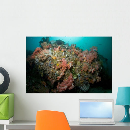 Colorful Reef Scene Komodo Wall Decal Design 1