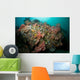 Colorful Reef Scene Komodo Wall Decal Design 1