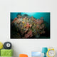 Colorful Reef Scene Komodo Wall Decal Design 1