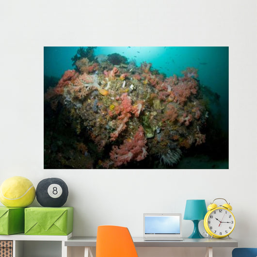 Colorful Reef Scene Komodo Wall Decal Design 1