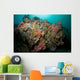 Colorful Reef Scene Komodo Wall Decal Design 1