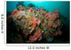 Colorful Reef Scene Komodo Wall Decal Design 1