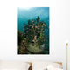 School Brown Cardinal Fish Wall Decal