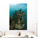 School Brown Cardinal Fish Wall Decal