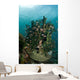 School Brown Cardinal Fish Wall Decal
