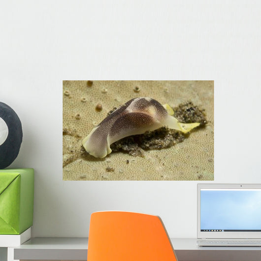 Yellow and Brown Headshield Wall Decal Design 2