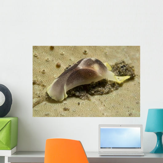 Yellow and Brown Headshield Wall Decal Design 2