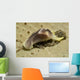 Yellow and Brown Headshield Wall Decal Design 2