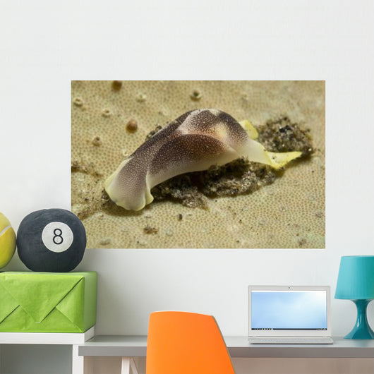 Yellow and Brown Headshield Wall Decal Design 2