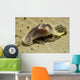 Yellow and Brown Headshield Wall Decal Design 2