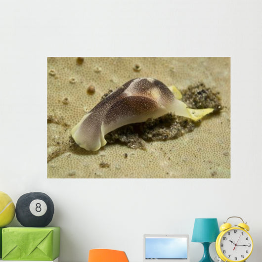 Yellow and Brown Headshield Wall Decal Design 2