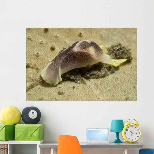 Yellow and Brown Headshield Wall Decal Design 2