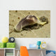 Yellow and Brown Headshield Wall Decal Design 2