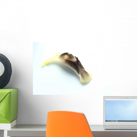 Yellow and Brown Headshield Wall Decal Design 1